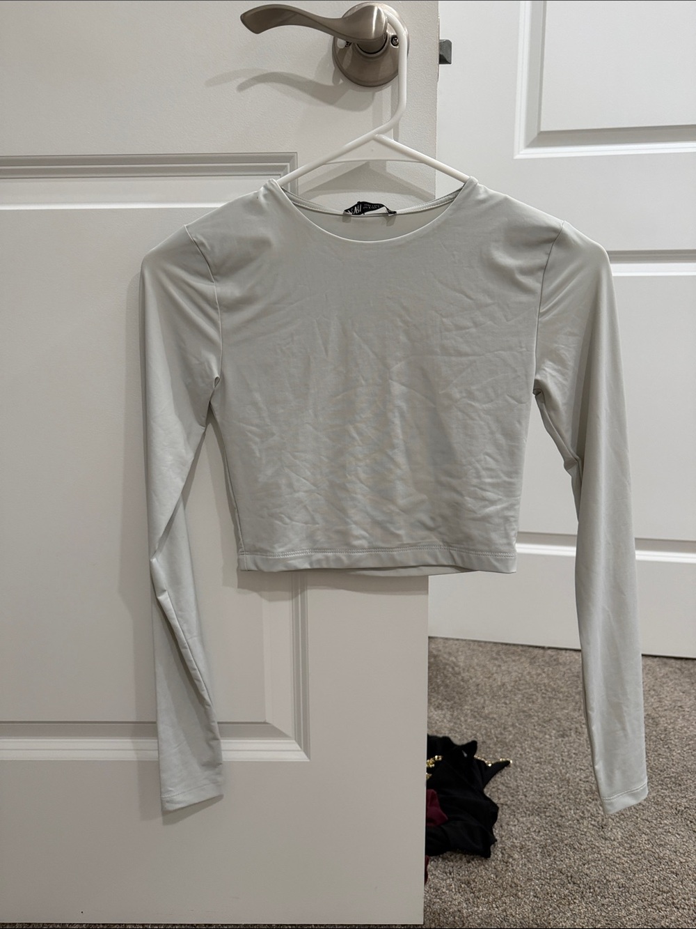 Zara Light Gray Cropped Long-Sleeve Crewneck Top